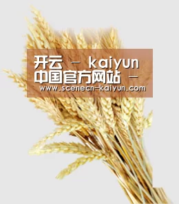 开云 - kaiyun中国官方网站 - 中文赛事服务中心