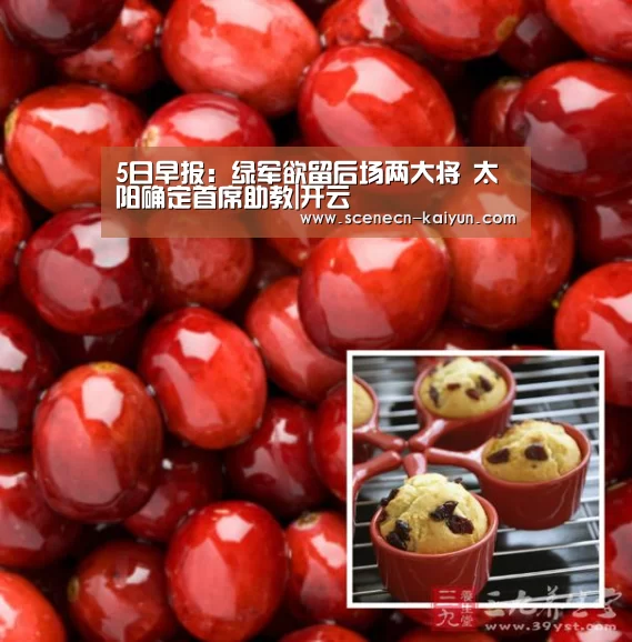 5日早报:绿军欲留后场两大将 太阳确定首席助教|开云 (图1) 开云