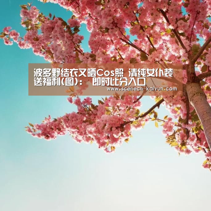  即时比分入口