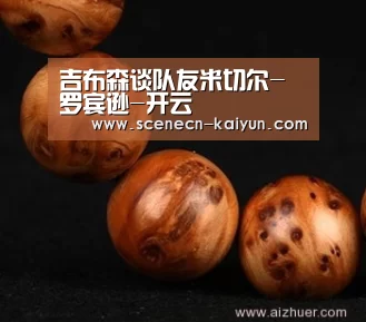 吉布森谈队友米切尔-罗宾逊-开云 (图3) 开云
