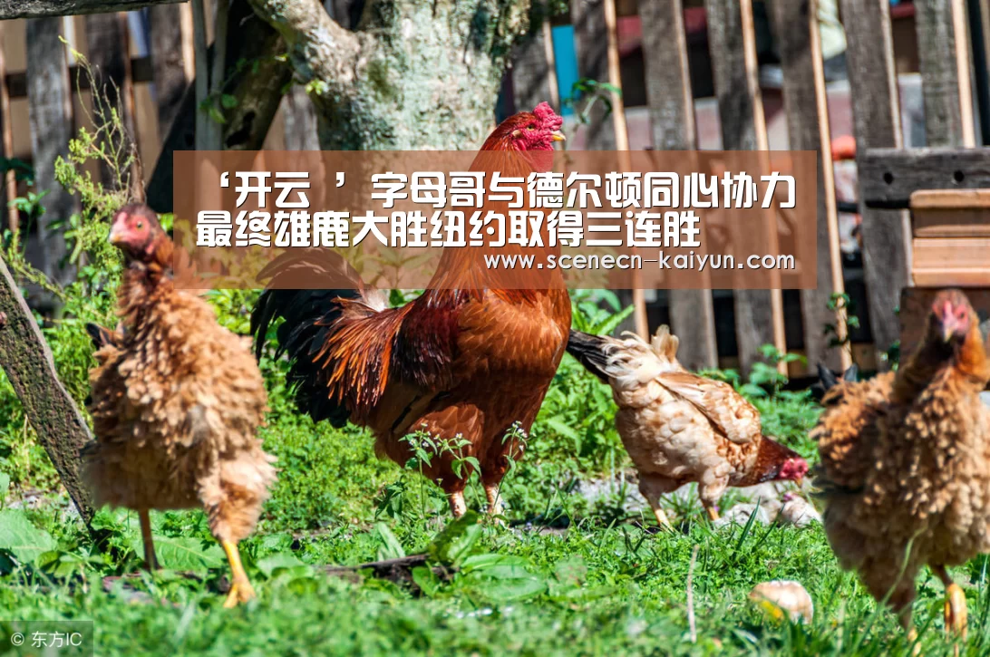 ‘开云 ’字母哥与德尔顿同心协力 最终雄鹿大胜纽约取得三连胜(图1) 开云