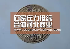 石家庄力挺综合体河北商业地产论坛详解行业未来_ kaiyun官网首页 (图1) 开云