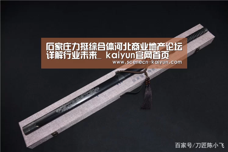 石家庄力挺综合体河北商业地产论坛详解行业未来_ kaiyun官网首页 (图3) 开云