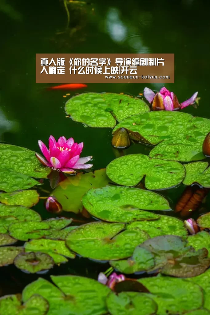 真人版《你的名字》导演编剧制片人确定 什么时候上映|开云 (图1) kaiyun官网首页
